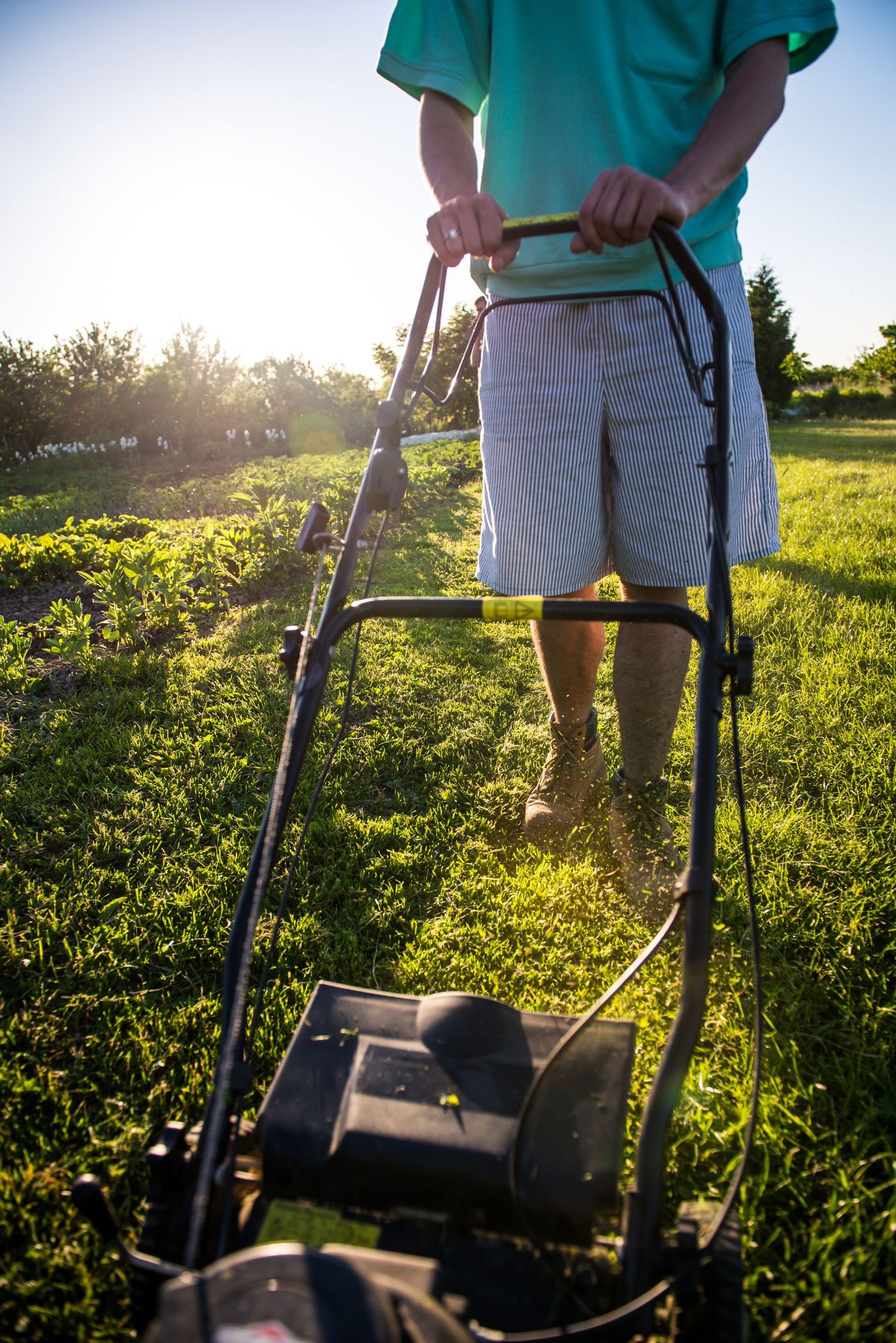 Gardener mowing a green lawn